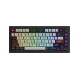 Akko 5075B Plus Castle 75% Mechanical Gaming Keyboard 3/5 Pin Swap Three-Modes RGB 2.4GHz Wireless/USB Type-C/BT 5.0 240510