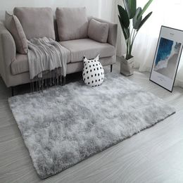 Carpets Practical Grey Rollable Home Decoration Furry Carpet 120 160cm Comfortable Large Size Cushion House Living Room Bedroom