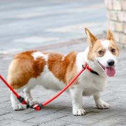 Dog Collars Pet P Chain Nylon Collar Training Accessories Medium Large Rope Explosion-proof Impact Durable