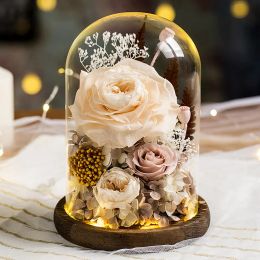 Wholesale Eternal Flower Handmade Preserved Real Rose Glass Cover Holder Immortal Flowers Valentines Day Birthday Gifts Wedding Supplies