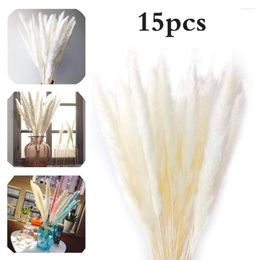 Decorative Flowers 10pcs Pampas Natural Pampa Grass Dried Real Reed Small Bulrush Bouquet White Plumes Home Office Decor Wedding Decoration