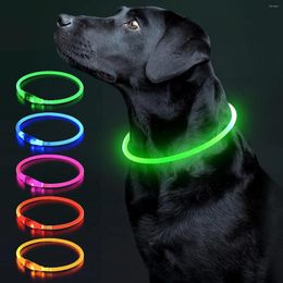 Dog Collars Led Luminous Collar Light Rechargeable Necklace Fashion Flashing DIY Glowing Safety For Dogs Nighttime Walking