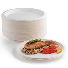 Disposable Dinnerware 50 Plates Paperd And Spoon Biodegradable Heavy-Duty Tableware Compostable Natural Sugarcane Bag-Like Fibres