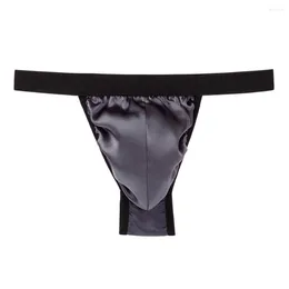 Underpants Men's Sexy Low Rise Silk Briefs T-Back G-strings Breathable Brand Thong Panties