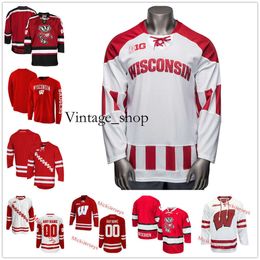 Vin NCAA Wisconsin Stitched Hockey Jersey 5 Tyler Inamoto 16 Tarek Baker 17 Ty Pelton-Byce (A) 4 Dylan Holloway 2 Daniel Laatsch 3 Sam Stan