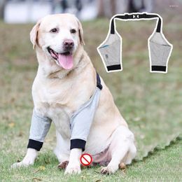 Dog Apparel Safe Double Front Leg Recovery Sleeve Pet Brace Keep Warm Anti-Lick