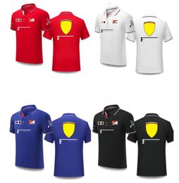 2024 새로운 F1 레이싱 폴로 셔츠 같은 디자인으로 맞춤화