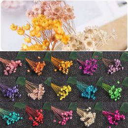 Decorative Flowers 30pcs Beautiful Home Decor DIY Crafts Wedding Supplies Mini Daisy Dried Floral Bouquets Small Star