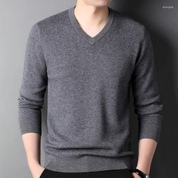 Men's Sweaters 2024 Spring Autumn Fashion Pullovers Men V Neck Long Sleeved Stretch Khaki Business Classics Knit Top