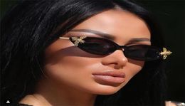 2020 Fashion Ladies Vintage Bee Sunglasses Small Leopard Shades Women039s Sun Shades Glasses Narrow Cat Eye Sunglasses UV4001864652