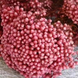 Decorative Flowers 50g Natural Millet Fruit Dried Flower Bridal Wedding Bouquet Gift For Guest Home Decorations Living Room Artificial