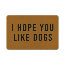 Carpets Funny Doormat Dog Quote Fall Decor Front Porch Home Housewarming Spring Entrance Floor Mat-I Hope You Like