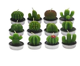 Outee 12 Pcs Cactus Tealight Candles Handmade Delicate Succulent Cactus Candles Flameless Aromatherapy 12 Designs for Birthday Par1269808