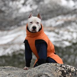 Dog Apparel Blackdoggy Wintere Jakcet With Two-Tone Material In Waterproof Warm Polyester Padding Airmesh Lining