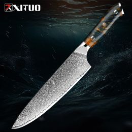 Professional Chef Knife 8 Inch Damascus VG-10 Japanese Steel Chef's Knife Full Tang Handle Ultra Sharp Kitchen Cooking Knife