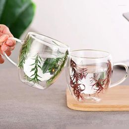 Wine Glasses Coffee Tea Cups Insulated Thermal Mugs With Dry Flower 250ML Tabletop Drinking For Latte