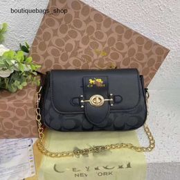 Luxury Brand Handbag Designer Women's Bag Womens New Brie Underarm Bag Single Shoulder Crossbody Lock Buckle Handheld ChainAX4I