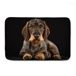 Carpets Doormat Carpet Custom Entrance Mat Hallway Dachshund Dog 3D Printed Anti-Slip Floor Area Rugs Funny Front Door Mats Indoor