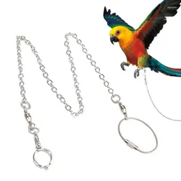 Other Bird Supplies Parrot Stainless Steel Foot Ring Chain Anklet Outdoor Flying Training Activity Opening Stand Accessories For Parakeet