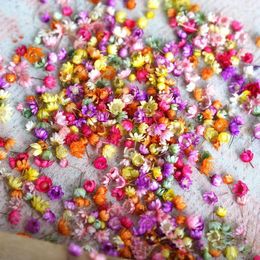 Decorative Flowers Beautiful Real Dry Press Diy Art Craft Epoxy Resin Candle Making Jewellery Home Party Dried
