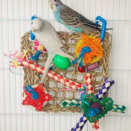 Other Bird Supplies Parrots Toys Chewing Interactive Play Climbing Net For Cockatiel Budgie