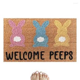 Carpets Easter Door Mat Welcome Front Spring Linen Doormat 23.6 15.7inch Non Slip Backing Funny For