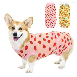 Dog Apparel Cat Grooming Clothes Soft Cotton Pet Treatment Uniform Dogs Clothing Jumpsuit For Small Medium Large Cats Pitbull