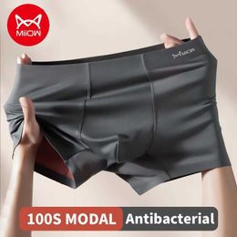 Underpants MiiOW 3pcs 100S Modal Mens Boxershorts Mulberry Silk 3A Antibacterial Underwear Boxers Male Panties Sexy Man Underpants Boxer Y240507