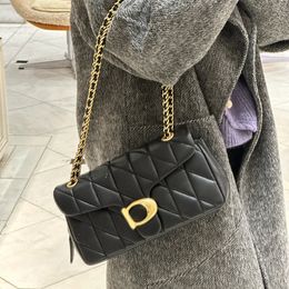 Mini bag pillow tabby bag quilted purses designer woman handbag 20cm 26cm borsa di design plated gold silver chain white shoulder bag flap xb129