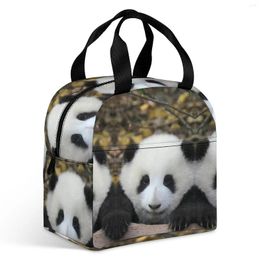 Storage Bags Panda42Insulated Lunch Bag Durable Reusable Box Boxes For Men Women Travel Picnic