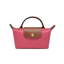 Handbag designer's new mini Dumpling bag High appearance Mini phone bag Coin purse crossbody bag Ladies factory promotionC0B9