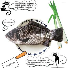 Creative Simulation Crucian Carp Clownfish Pencil Case Fun Realistic Student Fish Pen Bag Stationery Organizer School Supplies