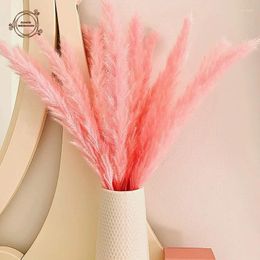 Decorative Flowers Pink Pampas Dried Bouquet Boho Home Decor Bedroom Table Decoration Accessories Wedding Supplies Natural Preserved Plant