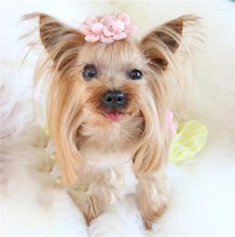 Dog Apparel 2024 Pet Sweet Flower Hairpin Frog Clip Teddy Shih Tzu Maltese 20pcs/lot