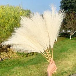 Decorative Flowers 1Pc 9-pronged Reed Artificial Pampas Grass Bouquet Faux Dried Flower DIY Wedding Birthday Party Home Fake Plant Decor