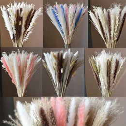 Decorative Flowers 75pcs Pampas Grass Fluffy Phragmites Room Home Decor Natural Dried Tail Reed Bouquet For Wedding Decoration