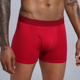 Underpants Men's Underwear Cotton Boxer Briefs Solid Colour Open Style