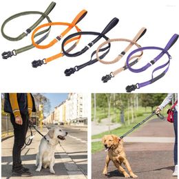 Dog Collars Elastic Bungee Leash For Medium Large Dogs Leashes Reflective Absorb Heavy Duty With Car Safety Clip