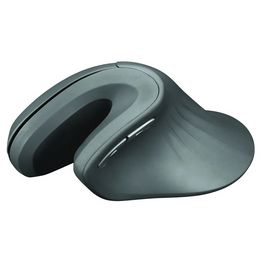Rechargeable Vertical Ergonomic Optical Mouse