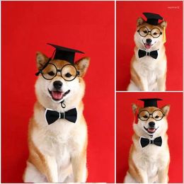 Dog Apparel Pet Cosplay Hat Collar Glasses Set Adorable Adjustable With Tassel Felt Cat Graduation Suit Accessories
