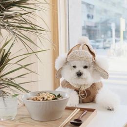 Dog Apparel Autumn And Winter Plus Velvet Warm Windproof Lamb Hair Pet Hat Cute Cat Leaky Ear Flight Po Decoration