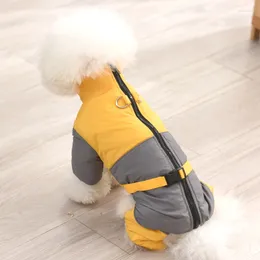 Dog Apparel May Lead The Clothing Fall Winter Four-legged Small Teddy Bear Thickened Cotton-padded Warm Down Jacket