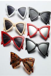 Factory Sexy Cat Eye Sunglasses Triangle Leopard Frame Various Colours Optional Plastic Glasses women sunglass for sunglases 1994054