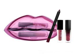 New Beauty Set of lip pencilMini Liquid lipstickMini lip Gloss Big mouth set 4 Colours 3pcsset with box9062920