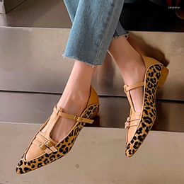 Casual Shoes Meotina Women Genuine Leather T-Strap Pointed Toe Flats Buckle Leopord Ladies Mixed Colours Fashion Spring Autumn Apricot