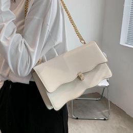 Shoulder Bags Niche Design Texture Chain Handbag Fashion Messenger Bag Square Underarm Dual-use Width: 29.5cm