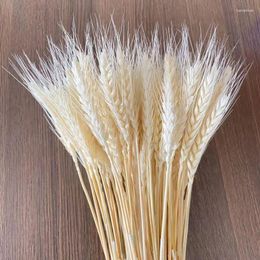 Decorative Flowers 50gReal Wheat Ear Natural Dried Small For Crafts Artificial Wedding Flower Bridal Bouquet Party Decorati