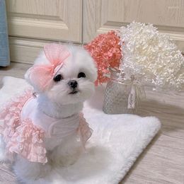 Dog Apparel INS Wind Pet Breathable Thin Vest-style Chest Strap Cute Lace Maltese Go Out Bichon Small Cat Neck Tee Shirt Costume