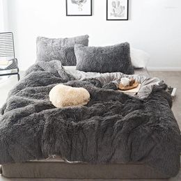 Bedding Sets 2024 Long Hair Fleece Set 5pcs/set (duvet Cover Flat Cushion) Bed Flannel Pillowcase 1 Linen Winter Sheet 2 Warm
