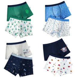 Panties 2 pieces/batch of boys underwear boxer elephant dinosaur design childrens cotton underwear childrens soft shorts 2-14YL2405
